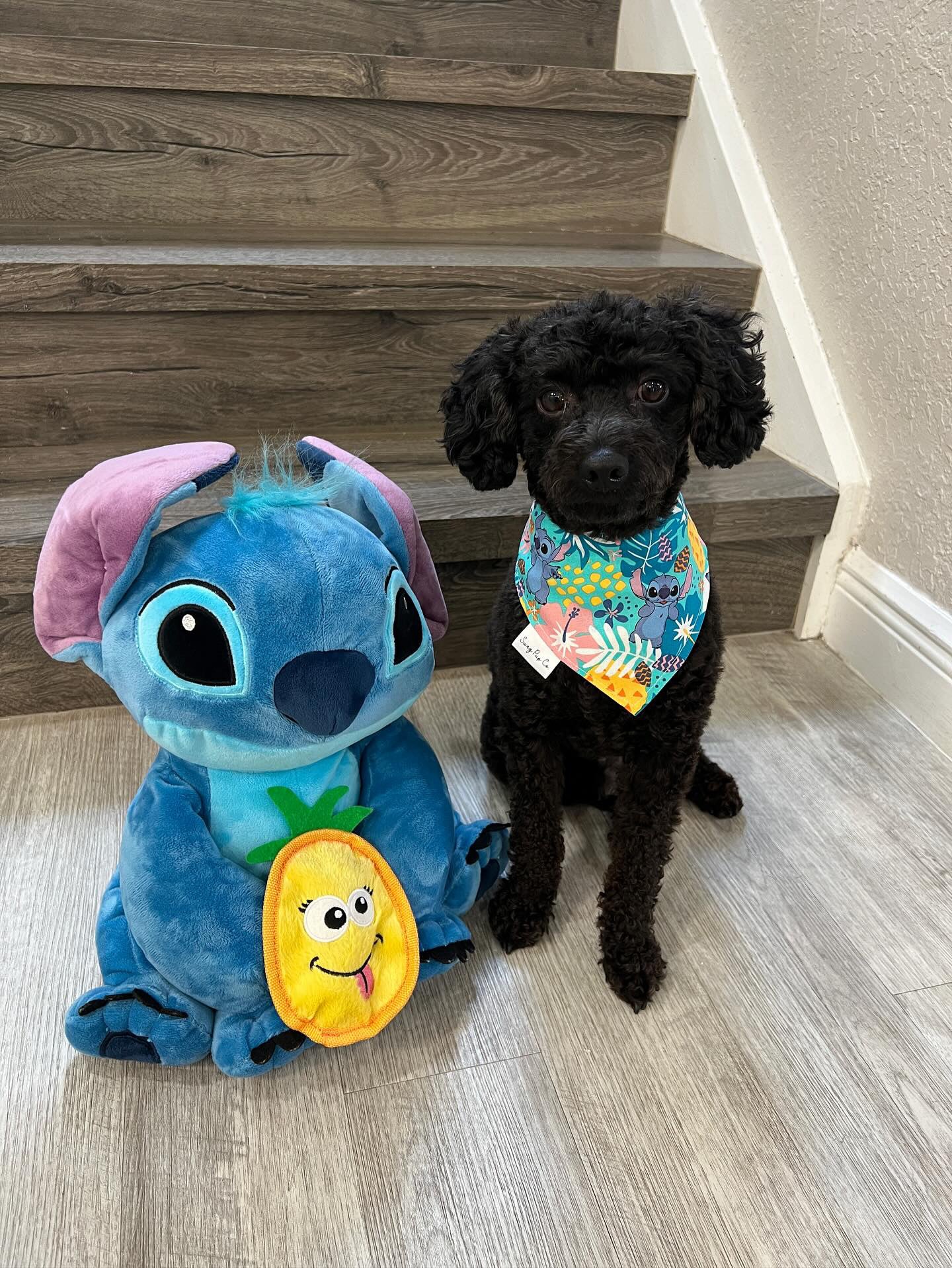 Stich