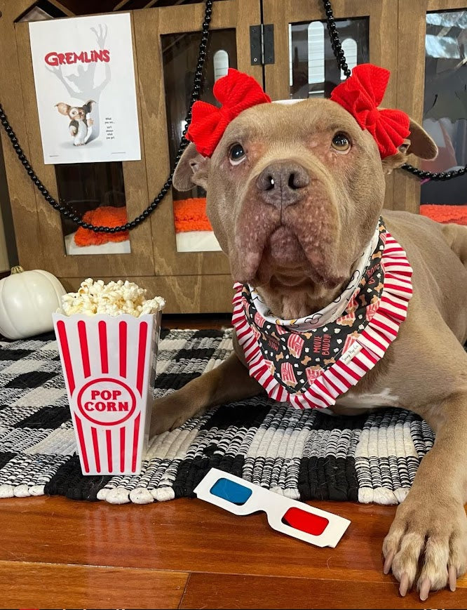 Movie Buddy