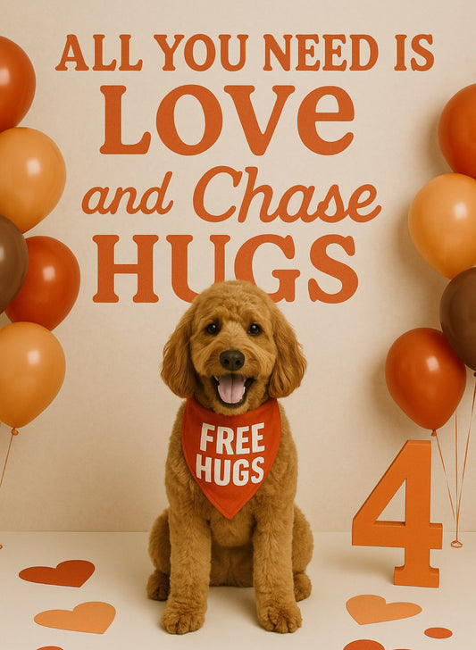 Chases Birthday Bandana