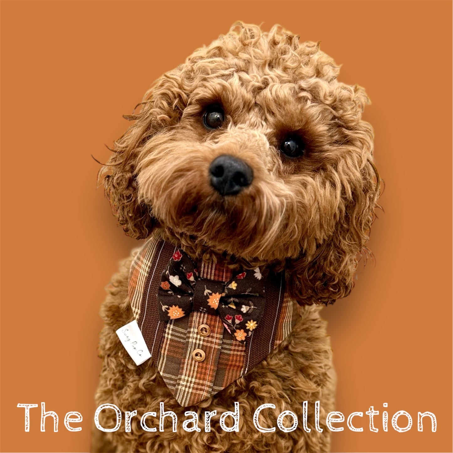 Orchard