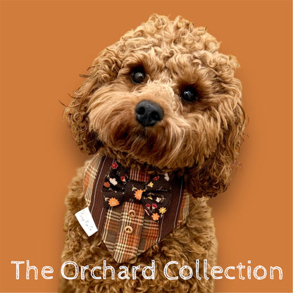 Orchard