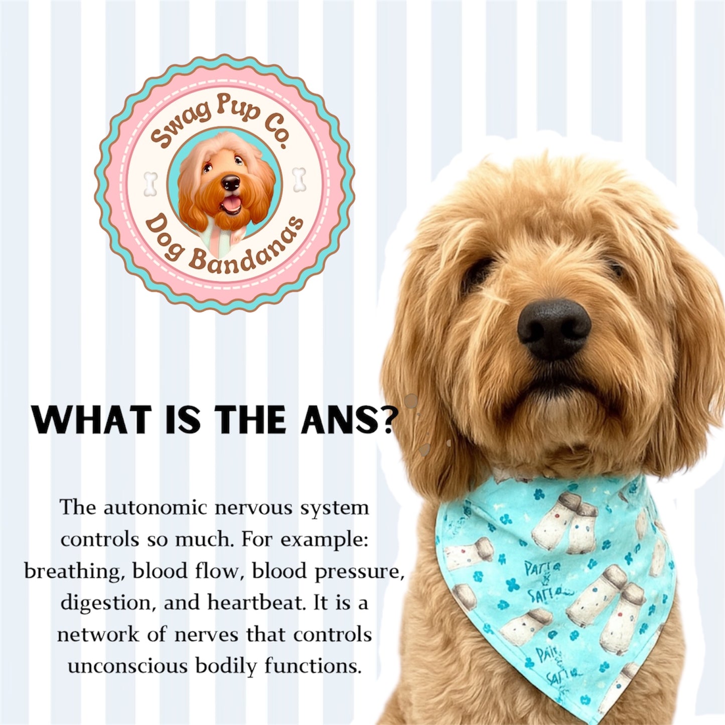 SALTY French Fries For POTS