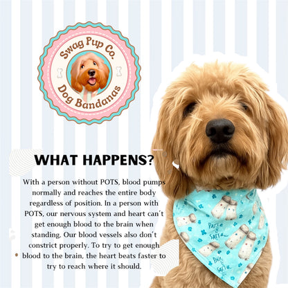 SALTY French Fries For POTS