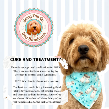 SALTY French Fries For POTS