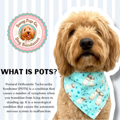 SALTY French Fries For POTS