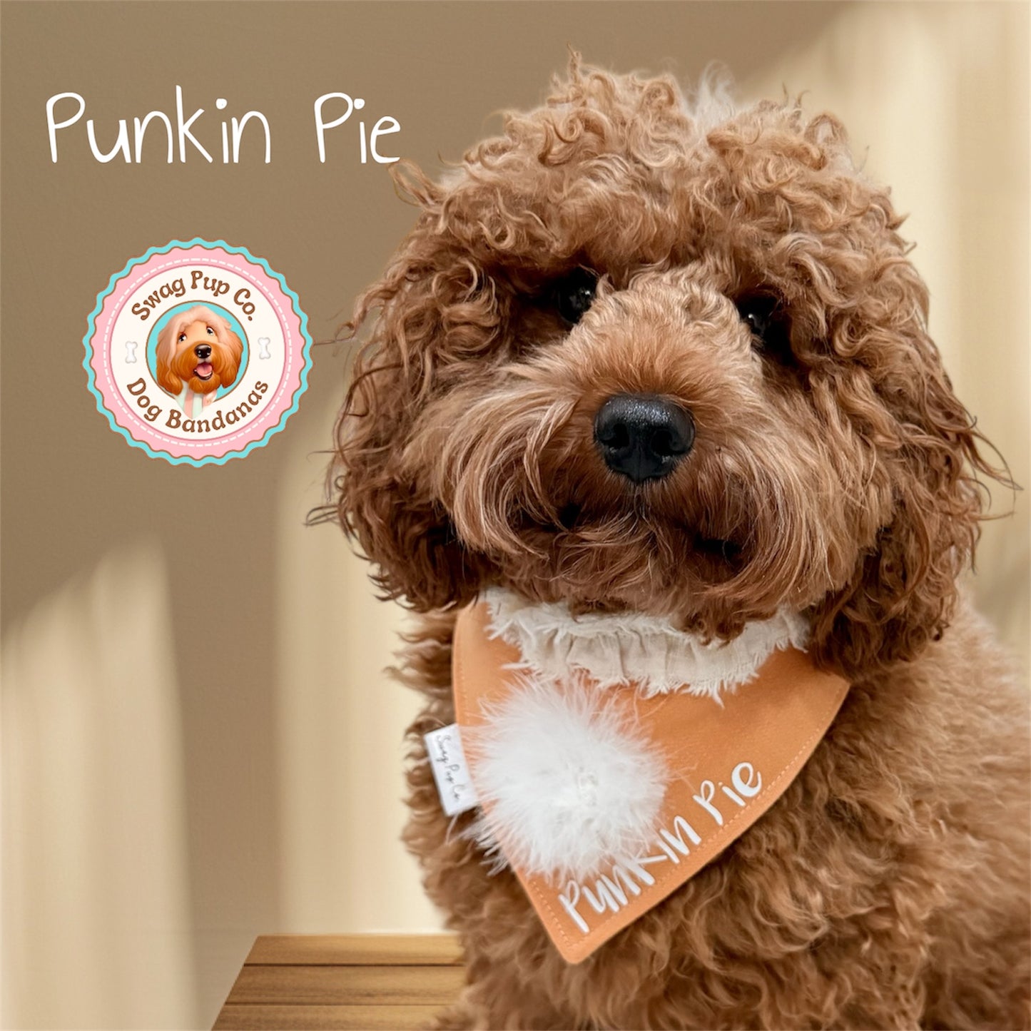 Punkin Pie