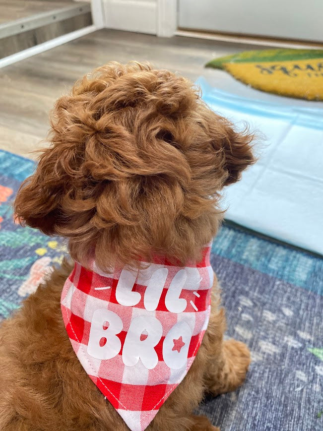 Gingham Big Bro Little Bro Danas