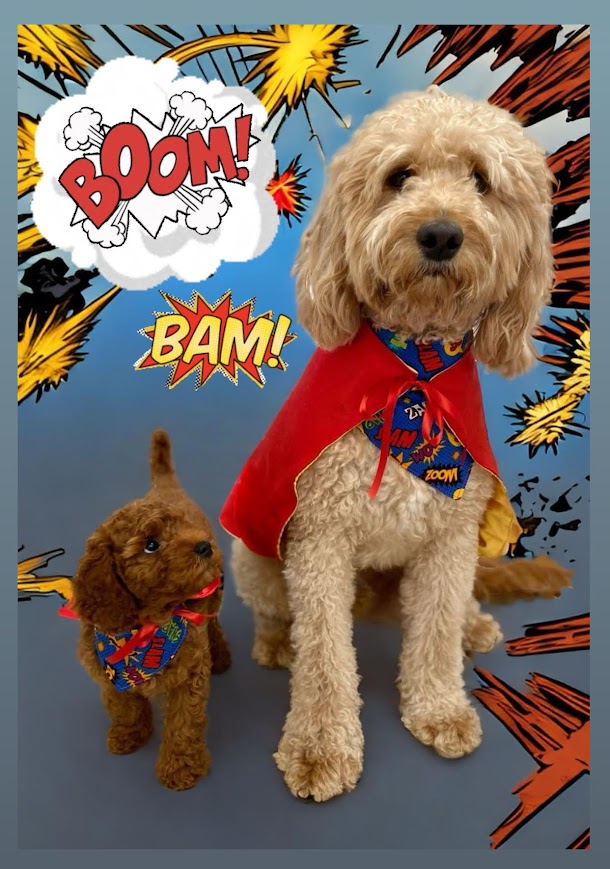 Super Hero Comic Dana and Capes