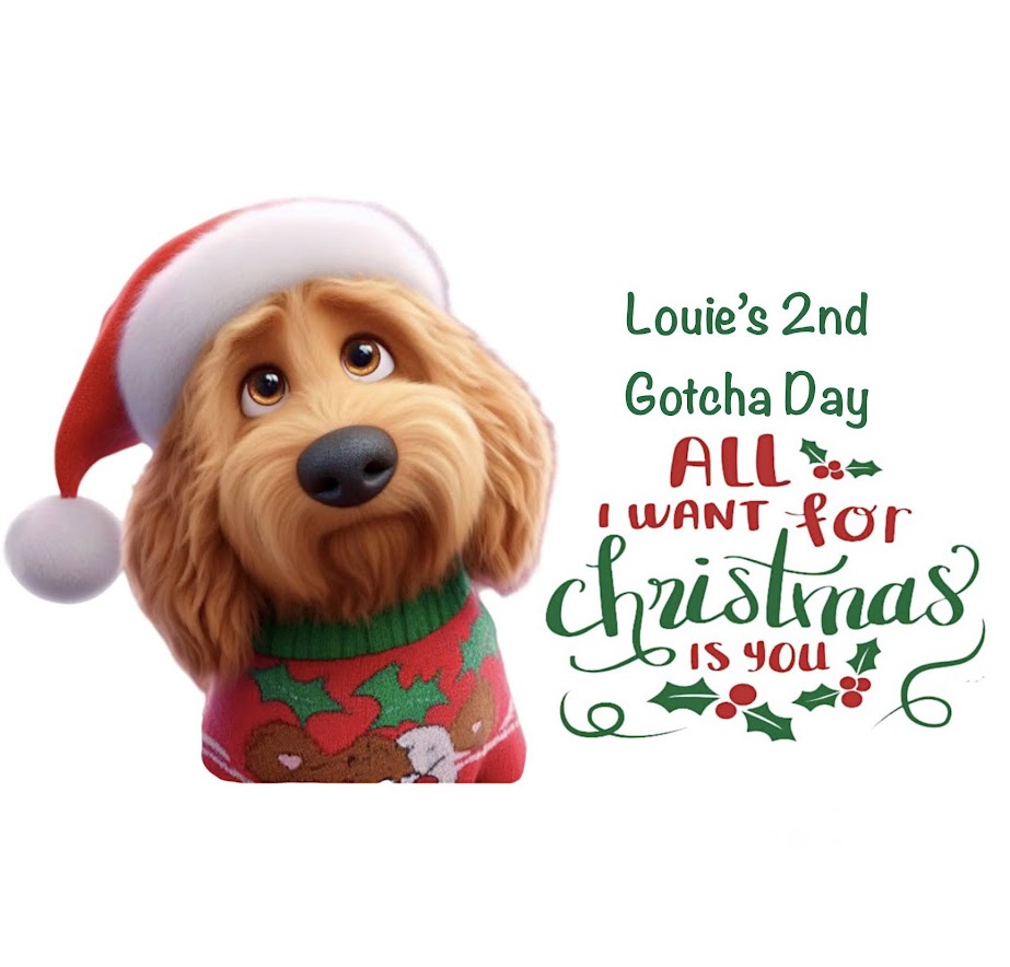 All I Want For Christmas