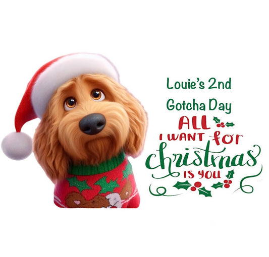 All I Want For Christmas